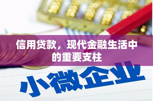 法库信用贷款，现代金融生活中的重要支柱