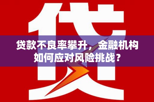 法库贷款不良率攀升，金融机构如何应对风险挑战？