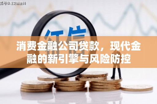 法库消费金融公司贷款，现代金融的新引擎与风险防控