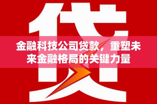 法库金融科技公司贷款，重塑未来金融格局的关键力量