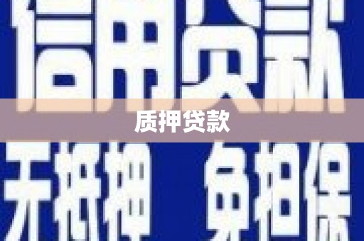 法库质押贷款