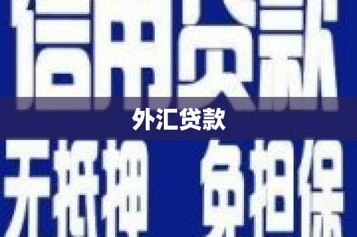 法库外汇贷款