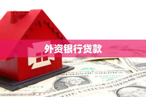 法库外资银行贷款