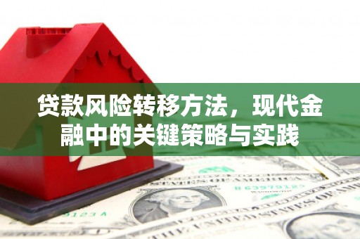 法库贷款风险转移方法，现代金融中的关键策略与实践