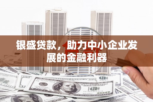 法库银盛贷款，助力中小企业发展的金融利器