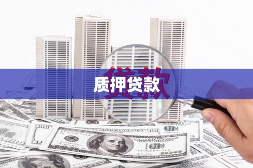 法库质押贷款