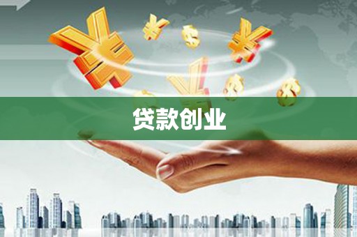 法库贷款创业