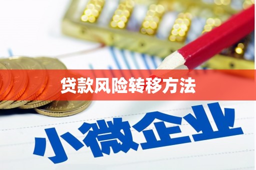 法库贷款风险转移方法