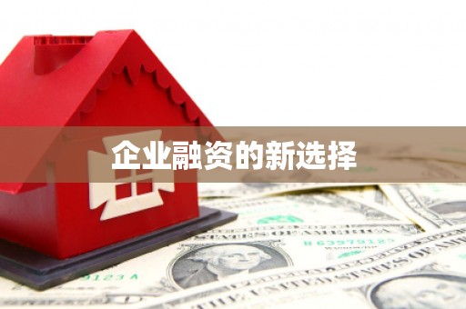 法库企业融资的新选择