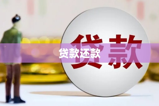 法库贷款还款