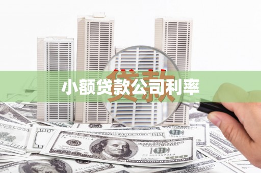 法库小额贷款公司利率