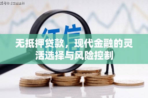 法库无抵押贷款，现代金融的灵活选择与风险控制