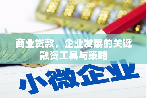 法库商业贷款，企业发展的关键融资工具与策略