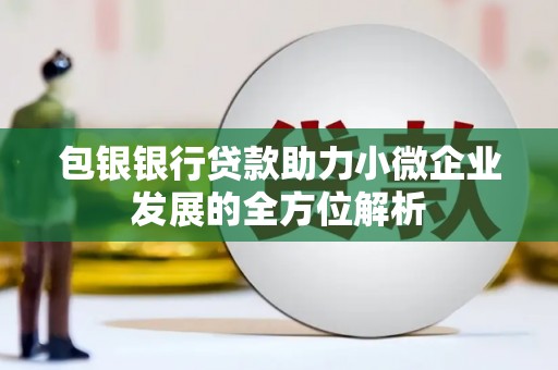 法库包银银行贷款助力小微企业发展的全方位解析