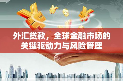 法库外汇贷款，全球金融市场的关键驱动力与风险管理