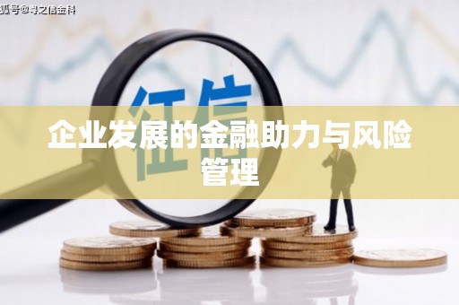 法库企业发展的金融助力与风险管理