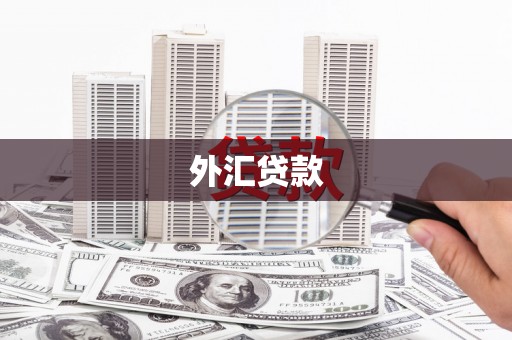 法库外汇贷款
