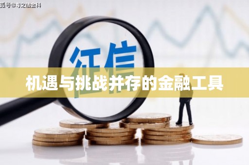 法库机遇与挑战并存的金融工具