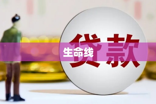 法库生命线