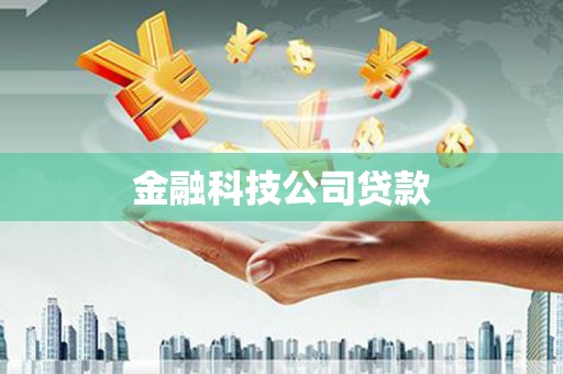 法库金融科技公司贷款