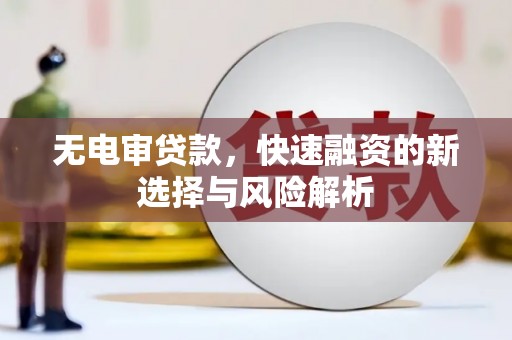 法库无电审贷款，快速融资的新选择与风险解析