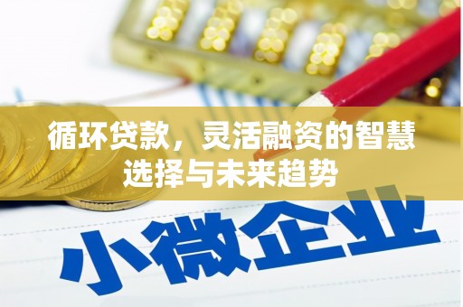 法库循环贷款，灵活融资的智慧选择与未来趋势