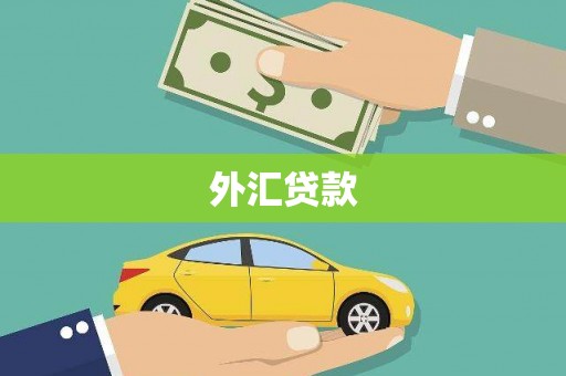 法库外汇贷款