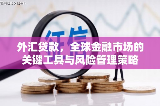 法库外汇贷款，全球金融市场的关键工具与风险管理策略