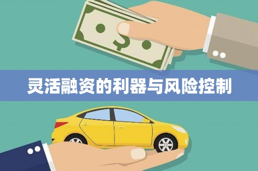 法库灵活融资的利器与风险控制