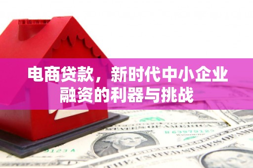 法库电商贷款，新时代中小企业融资的利器与挑战