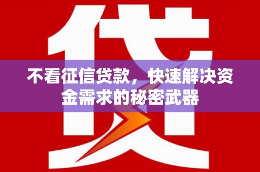 法库不看征信贷款，快速解决资金需求的秘密武器