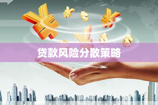 法库贷款风险分散策略