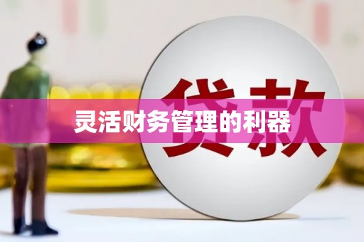 法库灵活财务管理的利器