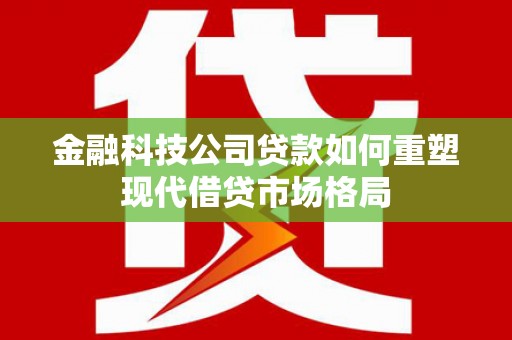 法库金融科技公司贷款如何重塑现代借贷市场格局