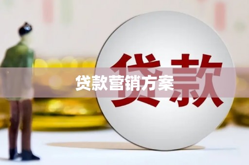 法库贷款营销方案