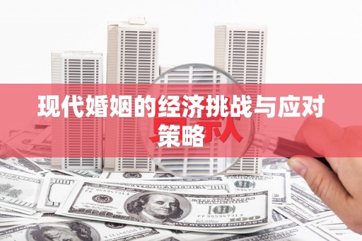 法库现代婚姻的经济挑战与应对策略