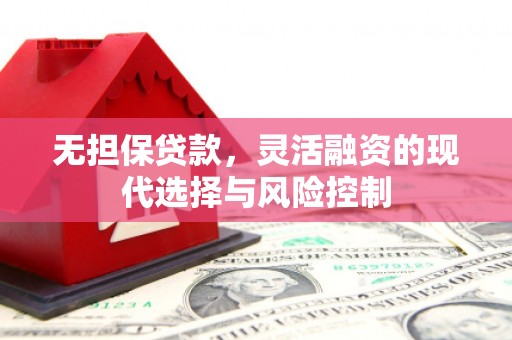 法库无担保贷款，灵活融资的现代选择与风险控制