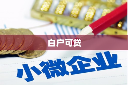 法库白户可贷