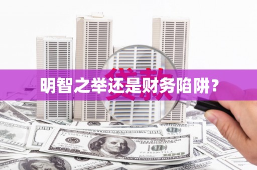 法库明智之举还是财务陷阱？