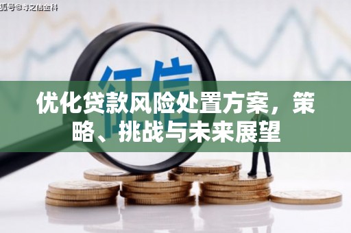 法库优化贷款风险处置方案，策略、挑战与未来展望