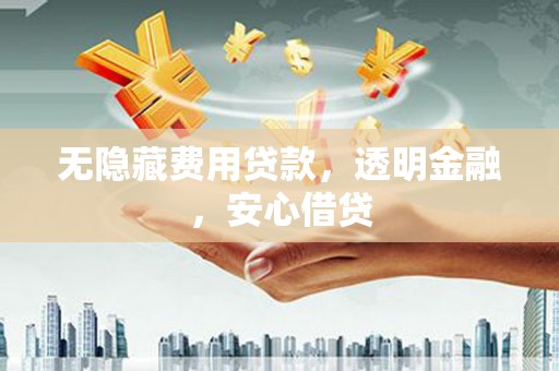 法库无隐藏费用贷款，透明金融，安心借贷