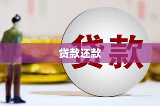 法库贷款还款