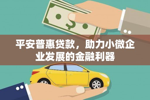 法库平安普惠贷款，助力小微企业发展的金融利器