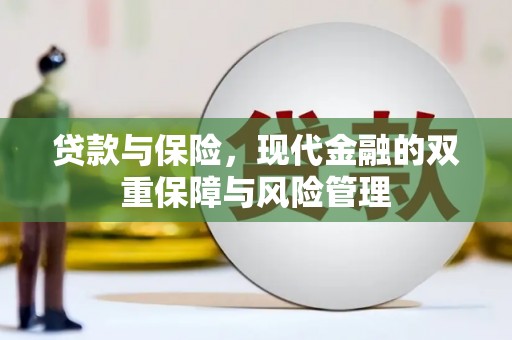 法库贷款与保险，现代金融的双重保障与风险管理