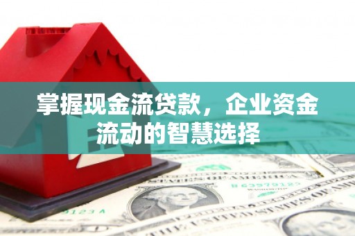 法库掌握现金流贷款，企业资金流动的智慧选择