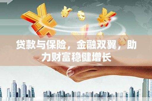法库贷款与保险，金融双翼，助力财富稳健增长