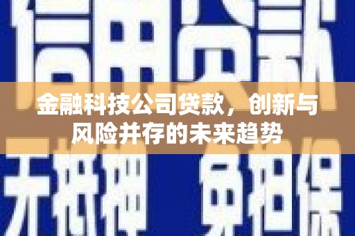 法库金融科技公司贷款，创新与风险并存的未来趋势