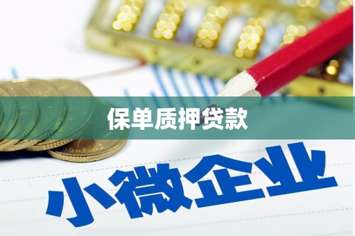 法库保单质押贷款