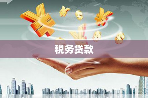 法库税务贷款