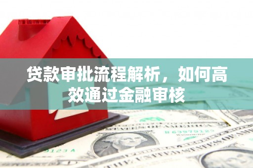 法库贷款审批流程解析，如何高效通过金融审核